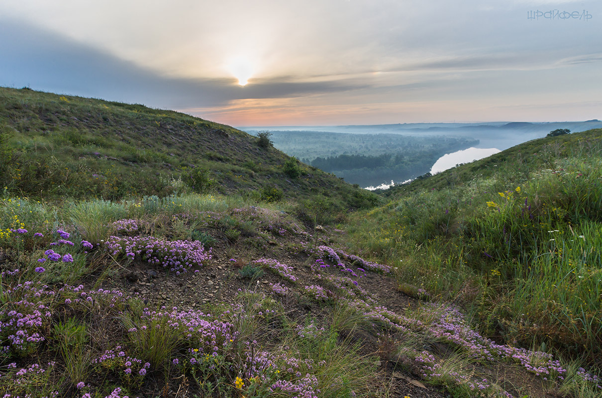 Восход. Река. И запах чабреца...
