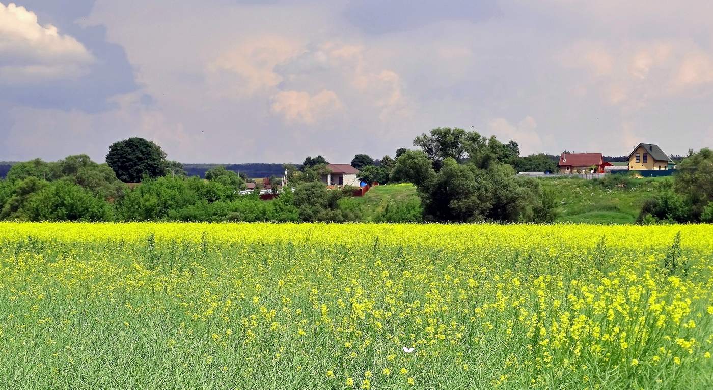 Скоро гроза