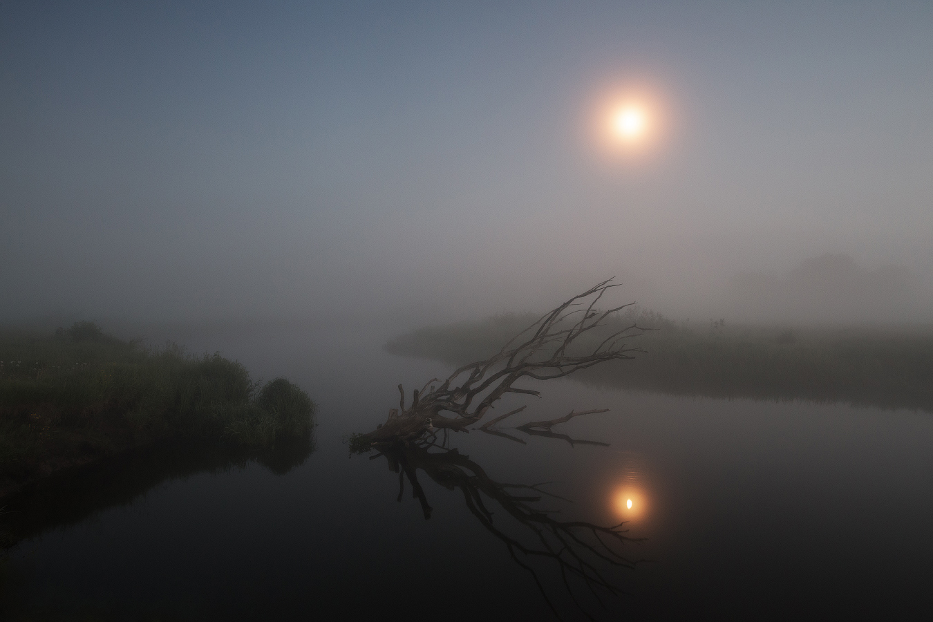 Скромное очарование ночи