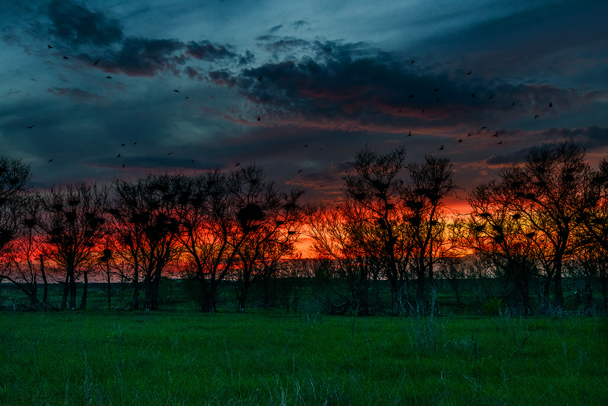 Скоро ночь...