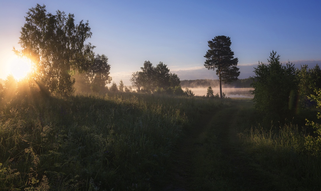 Солнечное утро.