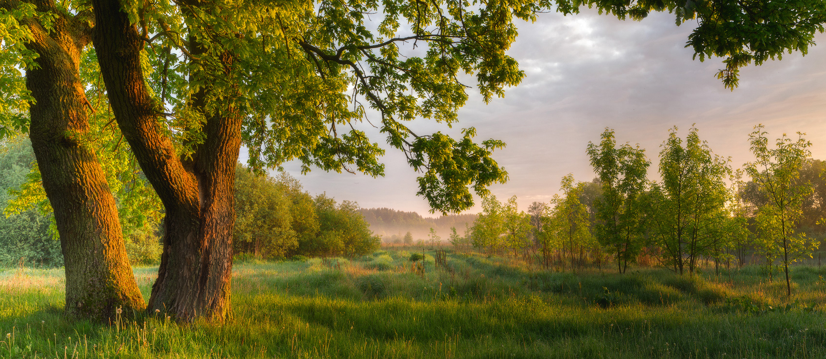 Сказочное утро