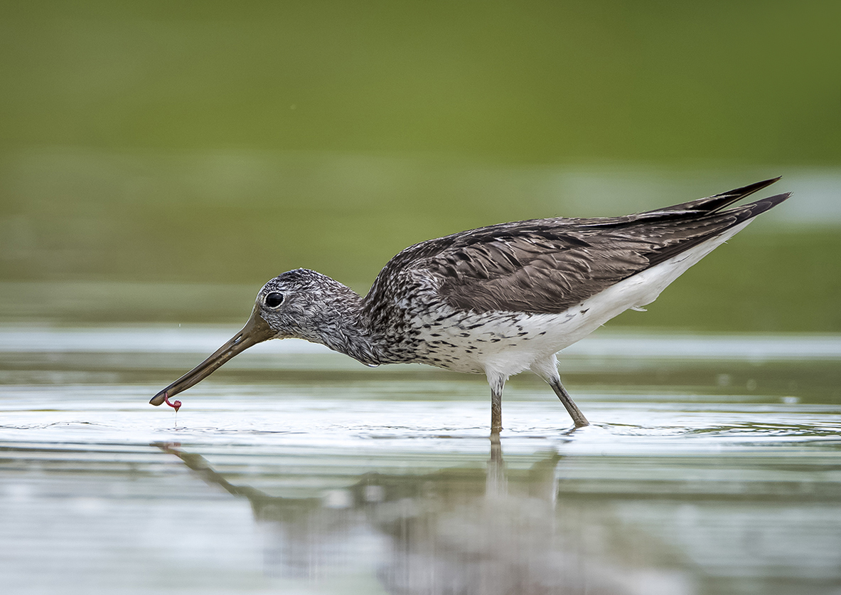 Не велика добыча,но....