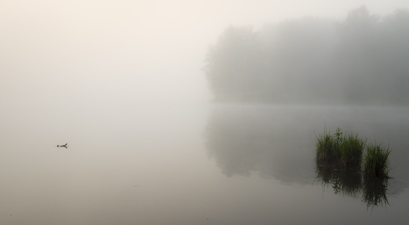 Туманный минимализм