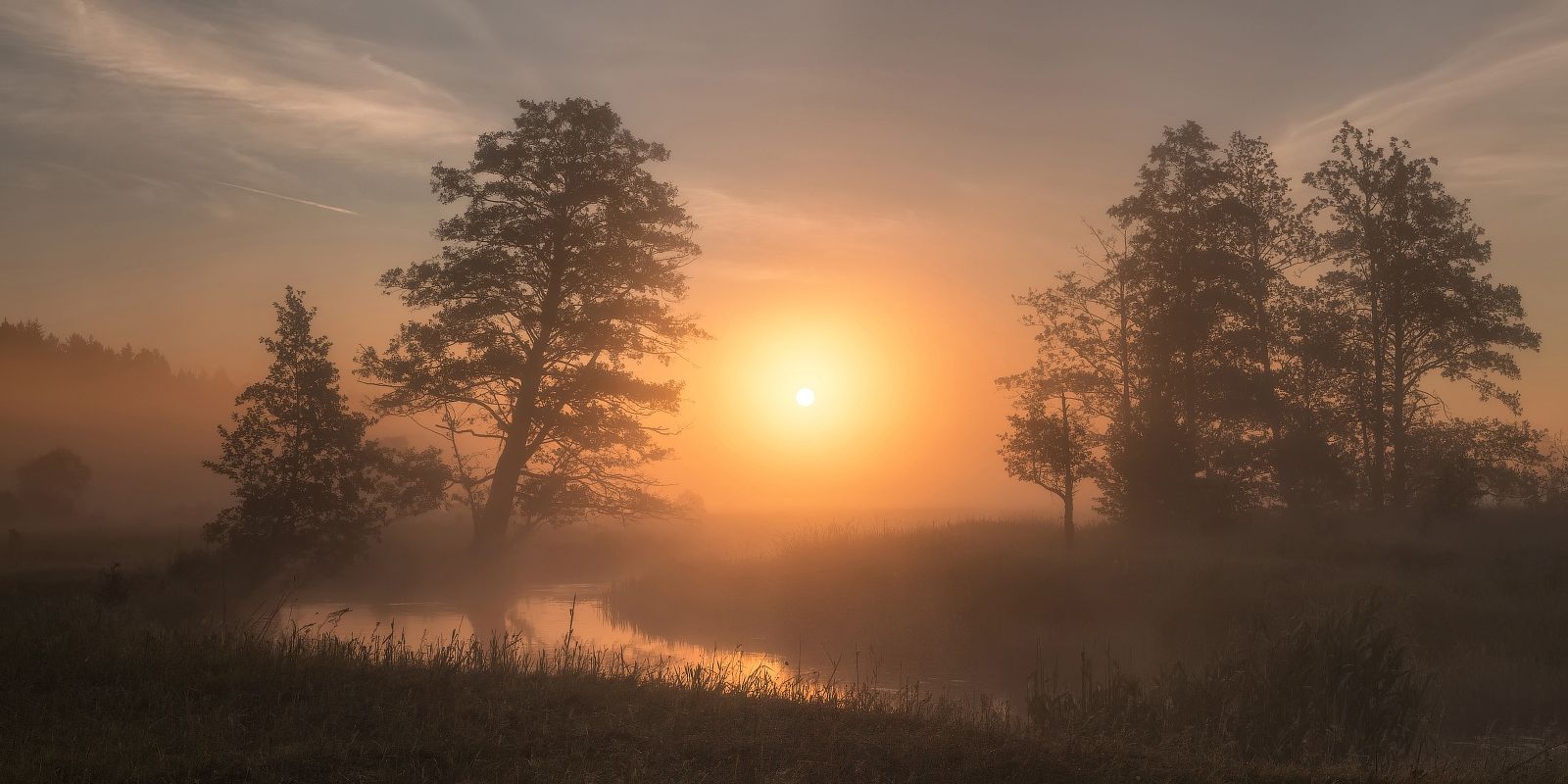 Туманное утро