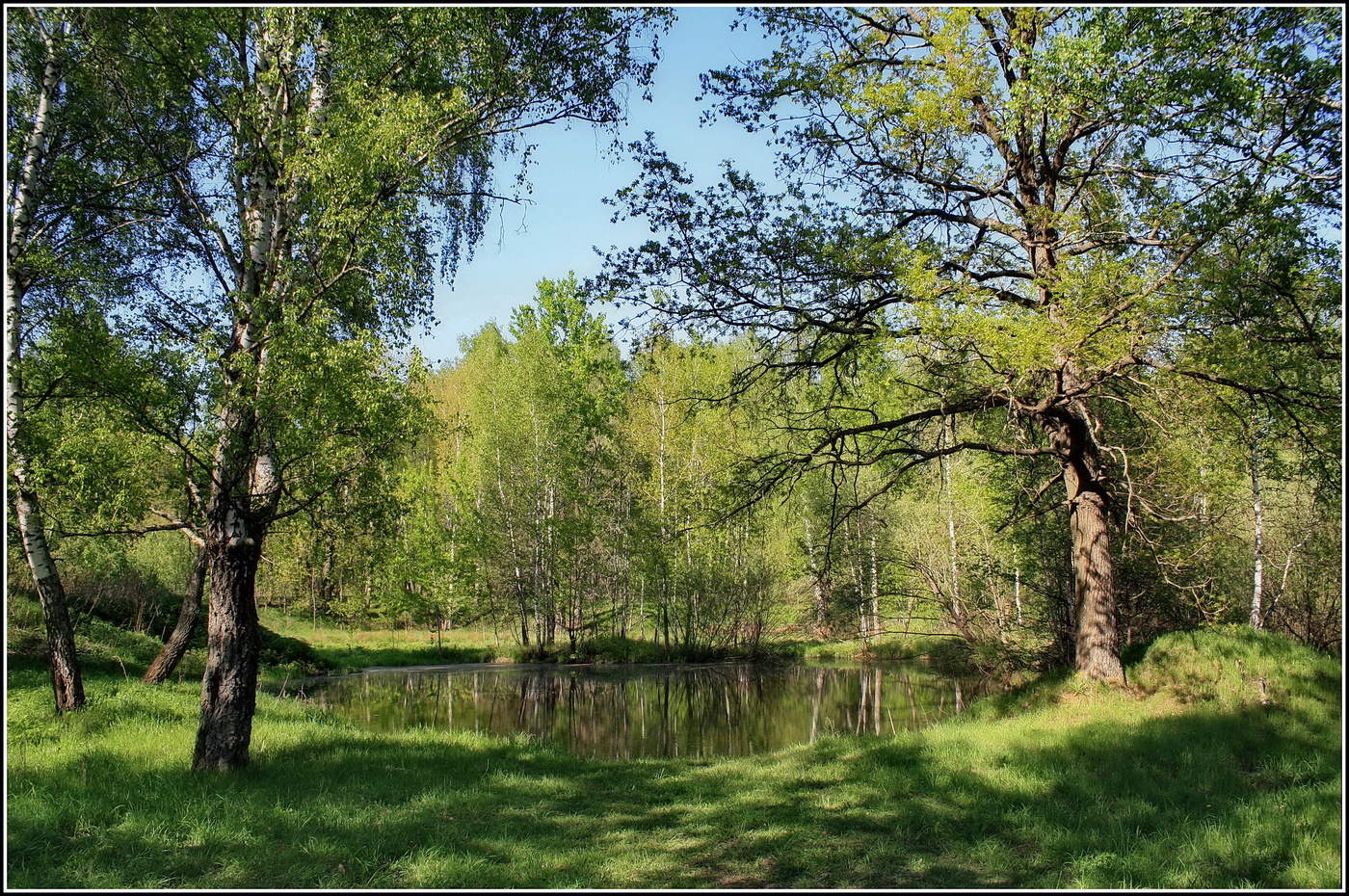 летняя зарисовка