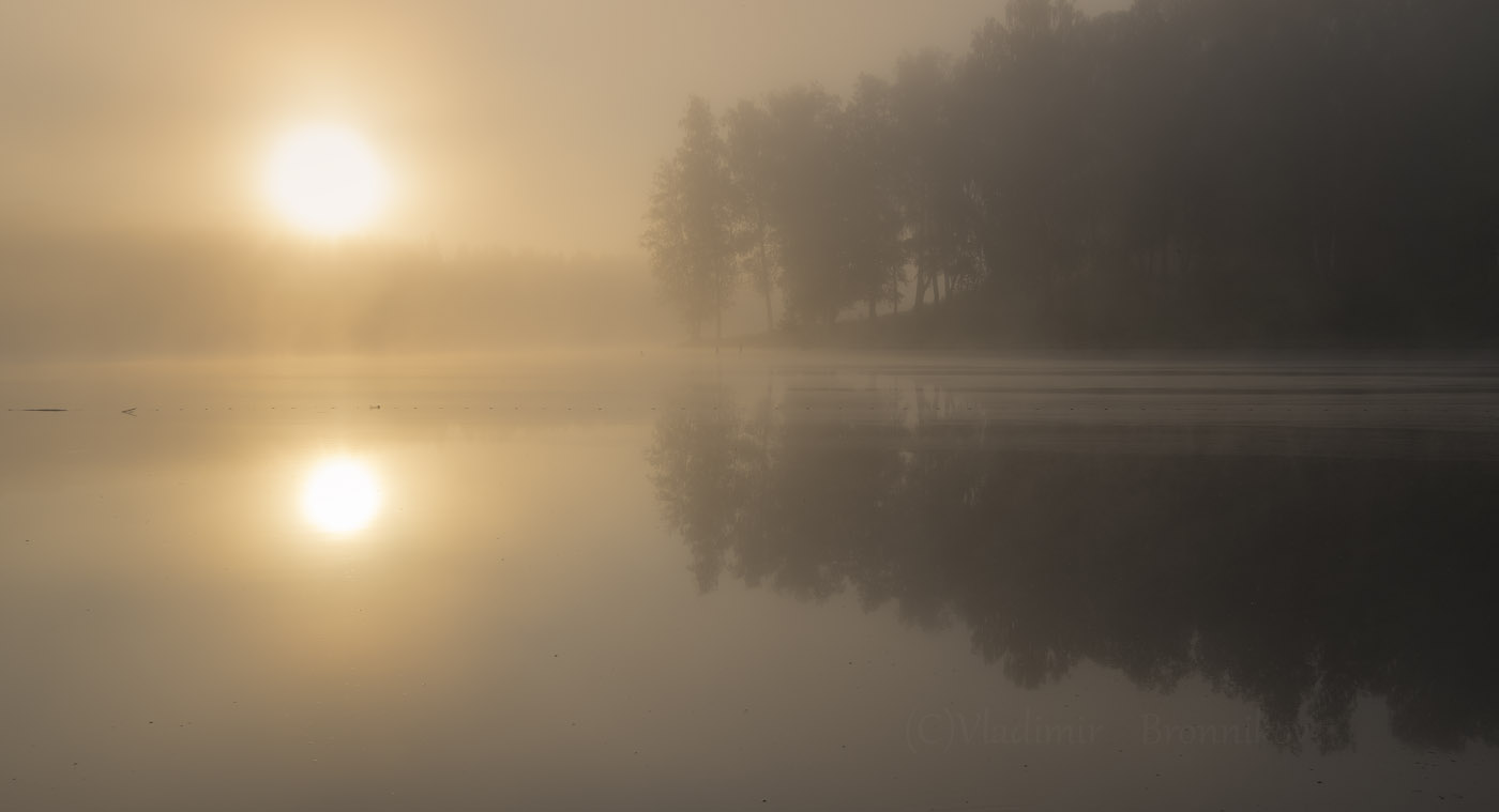 Туманная сказка