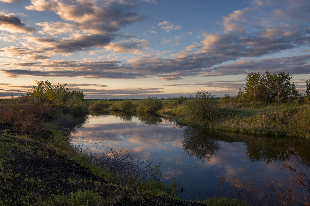 Вечерняя палитра.
