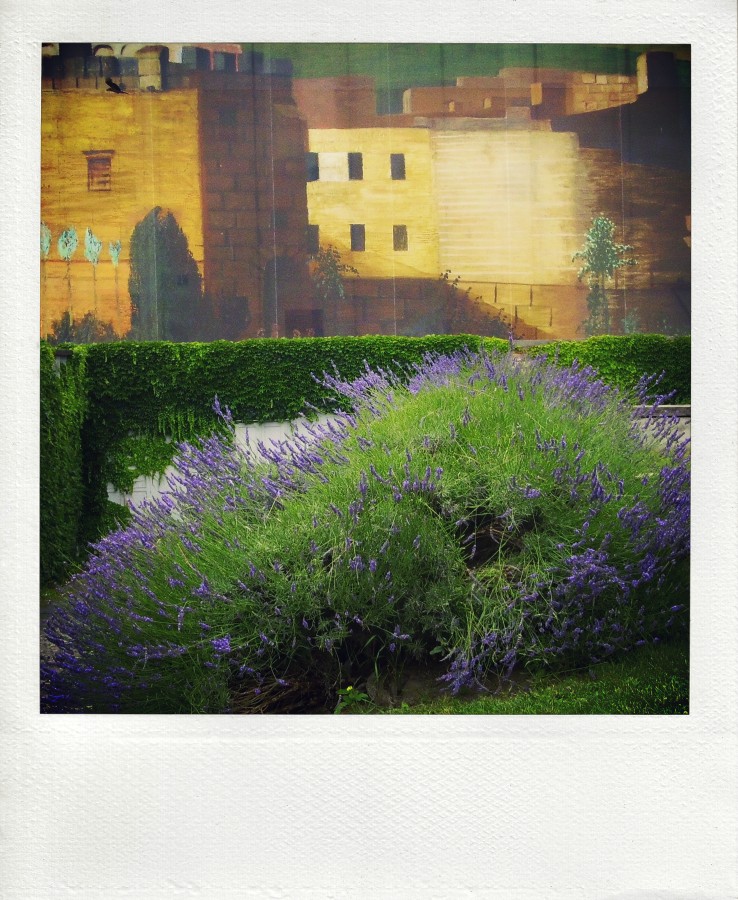 День угасал… но так и не угас…