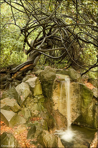 Охранники живой воды