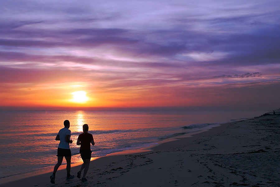 Навстречу дню