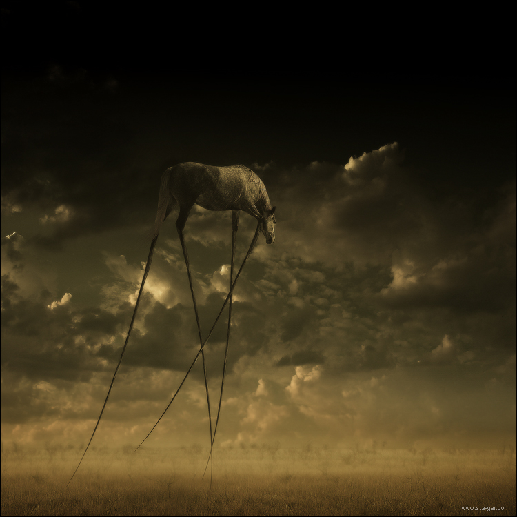 пропорции великого ..