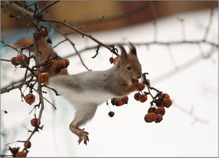 срочно нужна точка опоры!