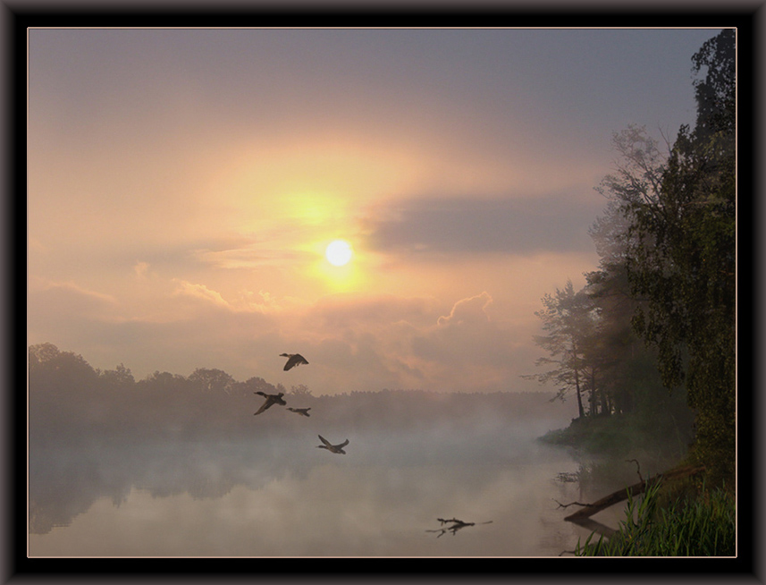 Кисельные берега