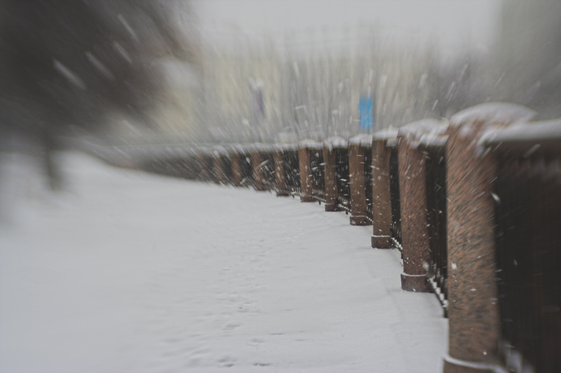 однодневная зима....