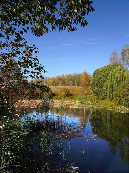 Осенний денек