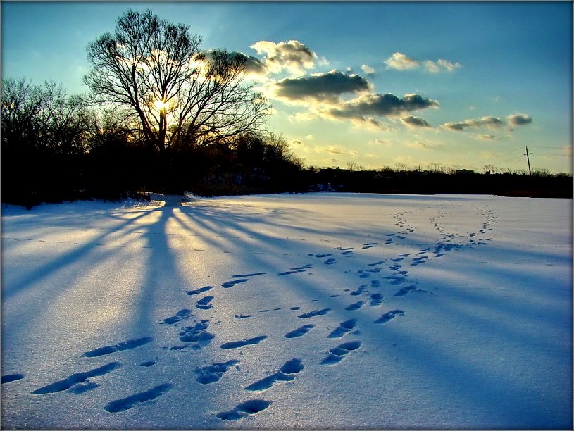 шпацыры па Гамбэр