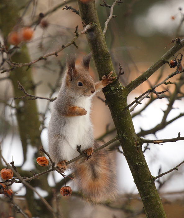 заходите к нам на огонек!