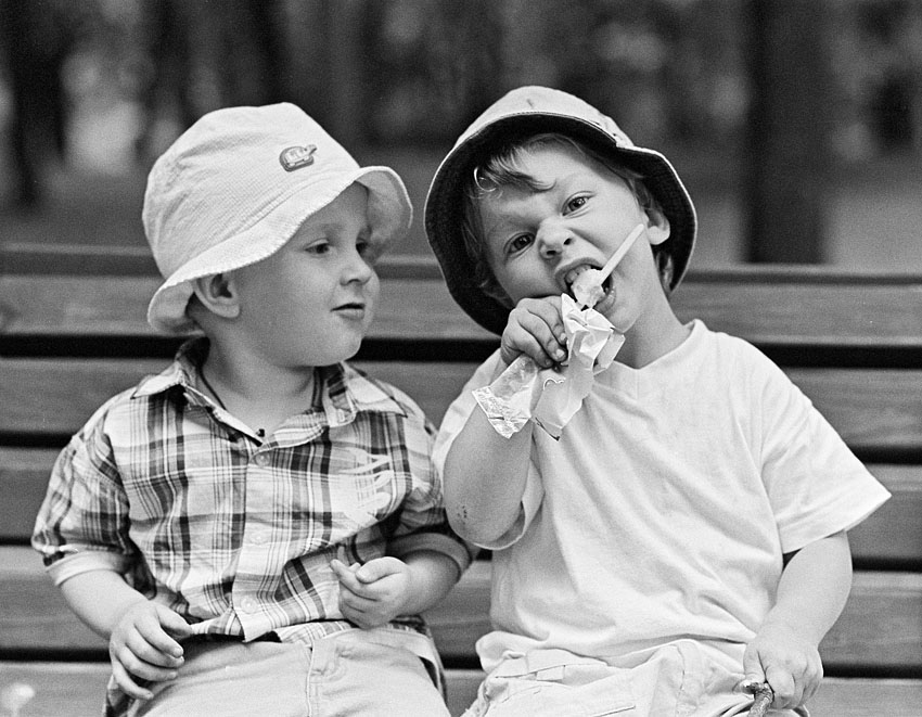 Поделили по братски