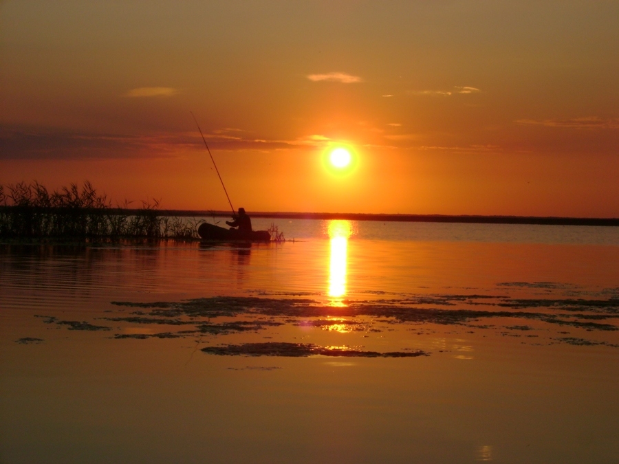 Утренняя рыбалка