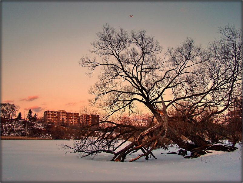 шпацыры па Гамбэр. суклонь