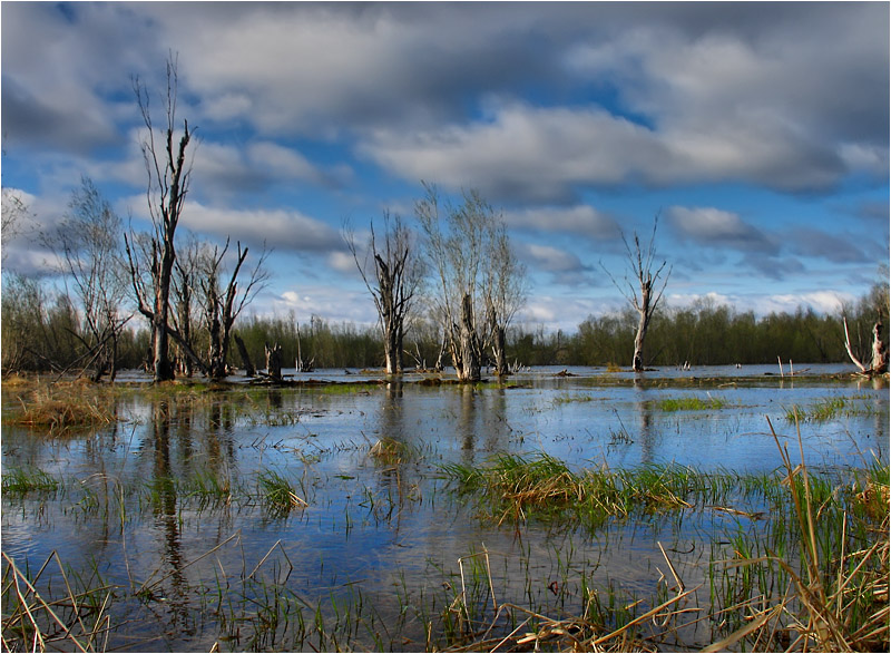Большая вода