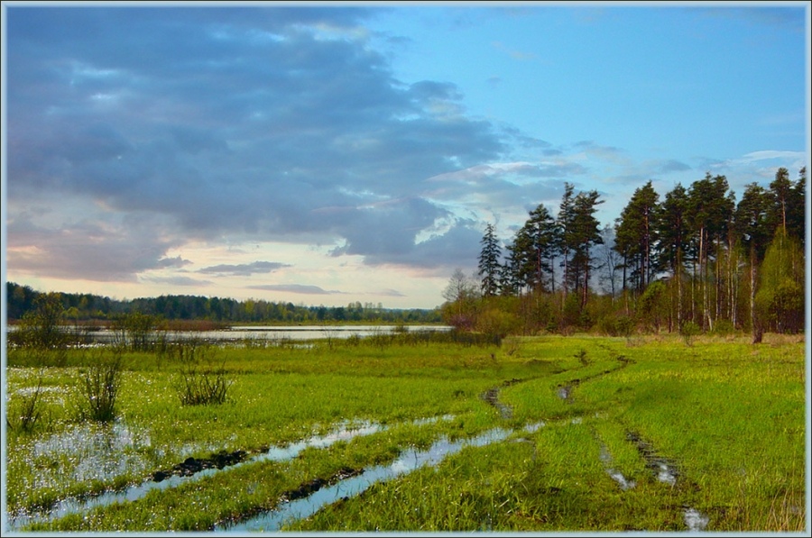 Весна идет. Весне дорогу!