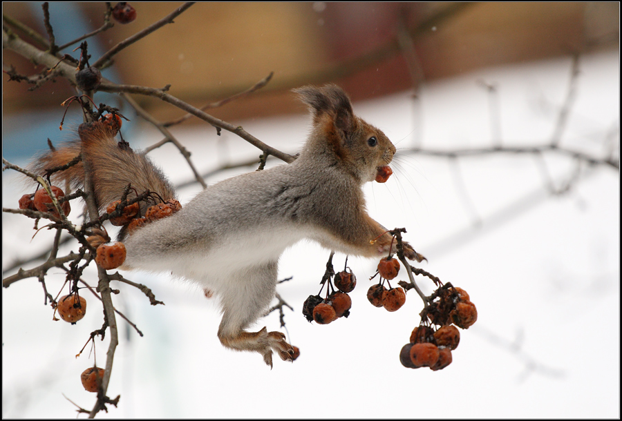 Дайте же мне точку опоры!