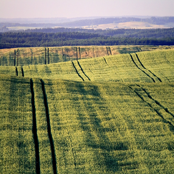 Околоминские Холмы