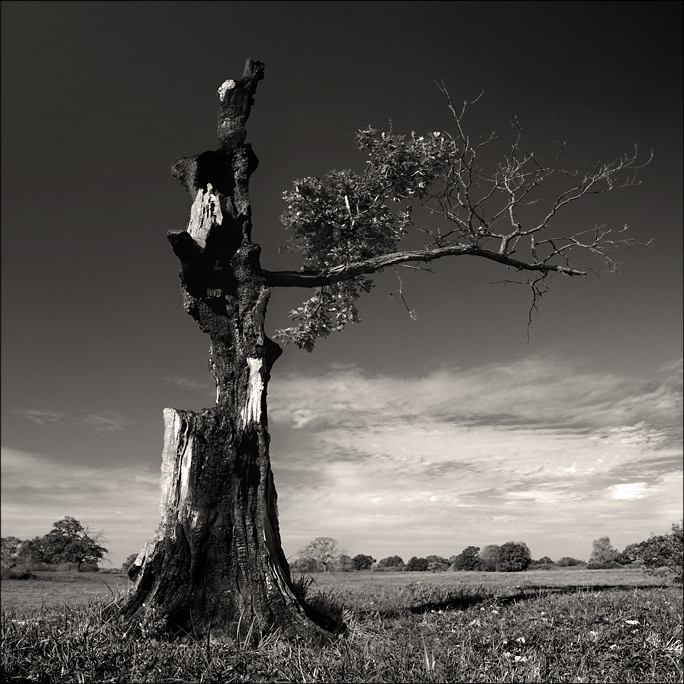 так хочется жить ... #2