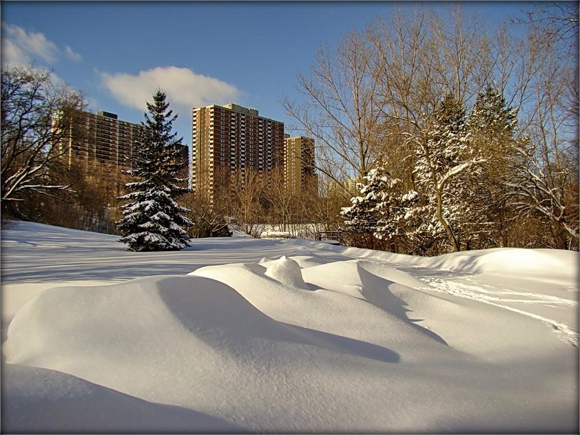 дом, у каторым я жыву