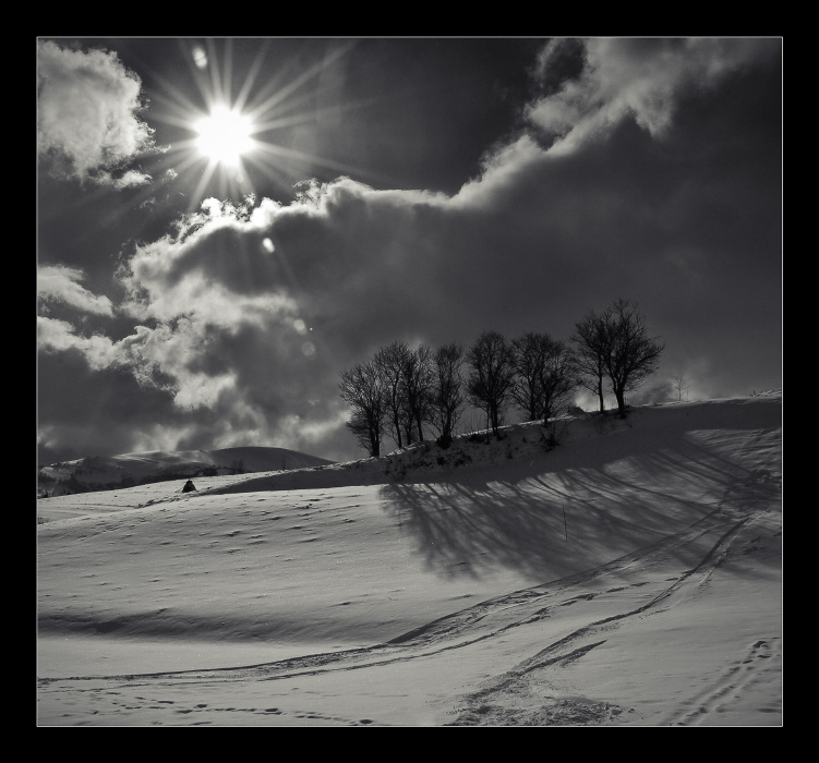 Монохромный пейзаж