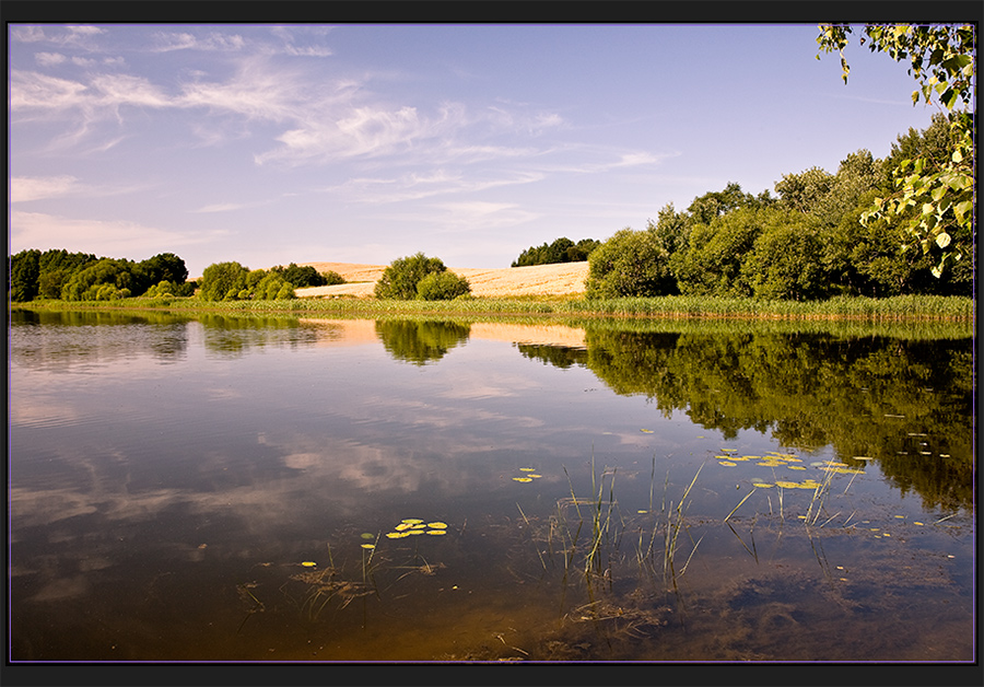 Сиреневая  Вяча