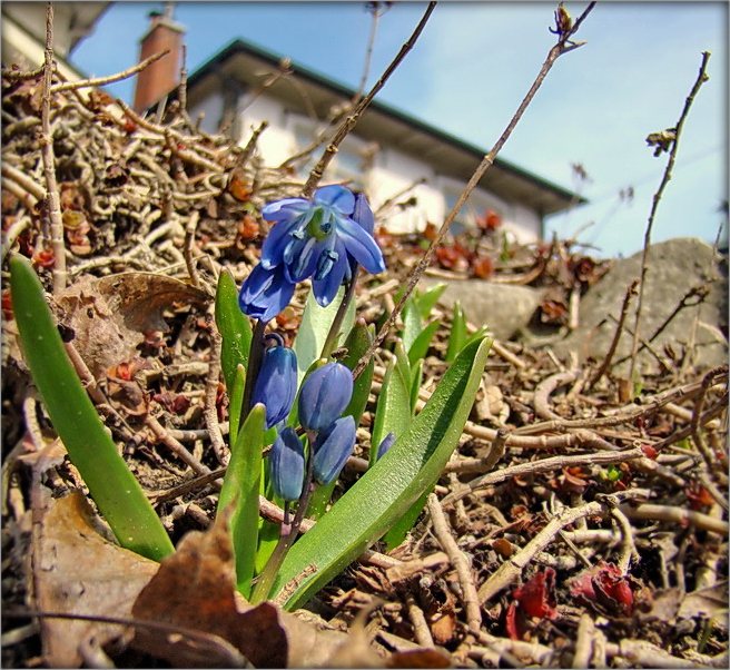 Дабравесьце