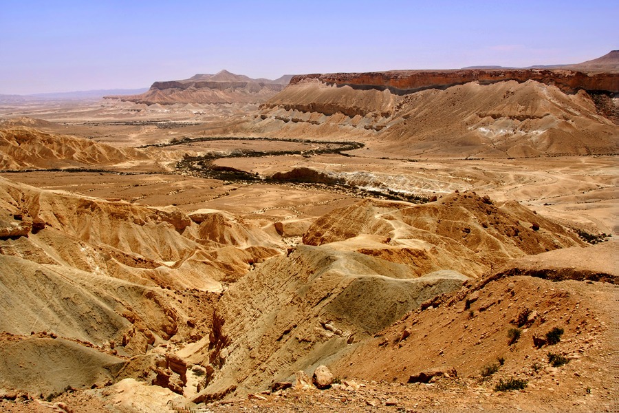 "Высадка Армстронга"