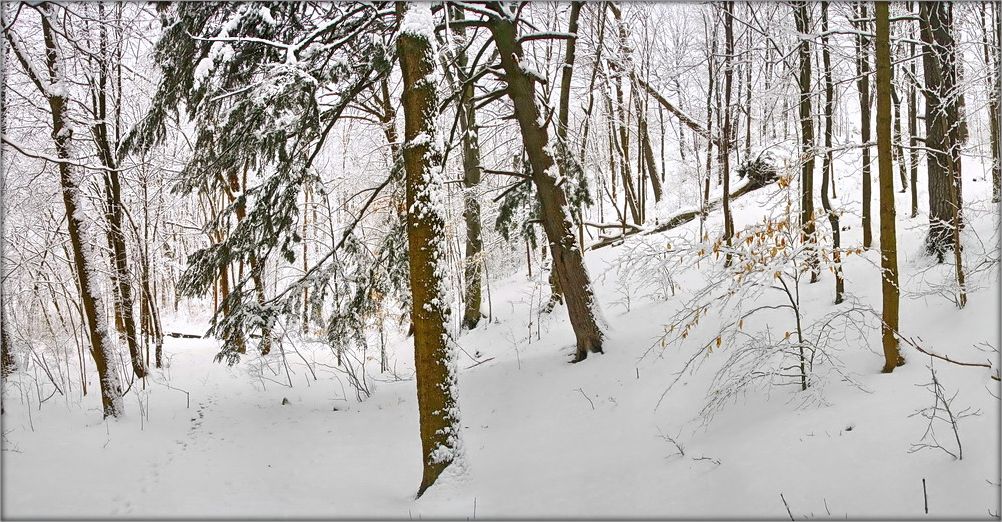 сьнежны вальс