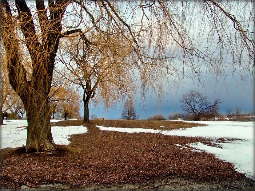 блізкі подых вясны