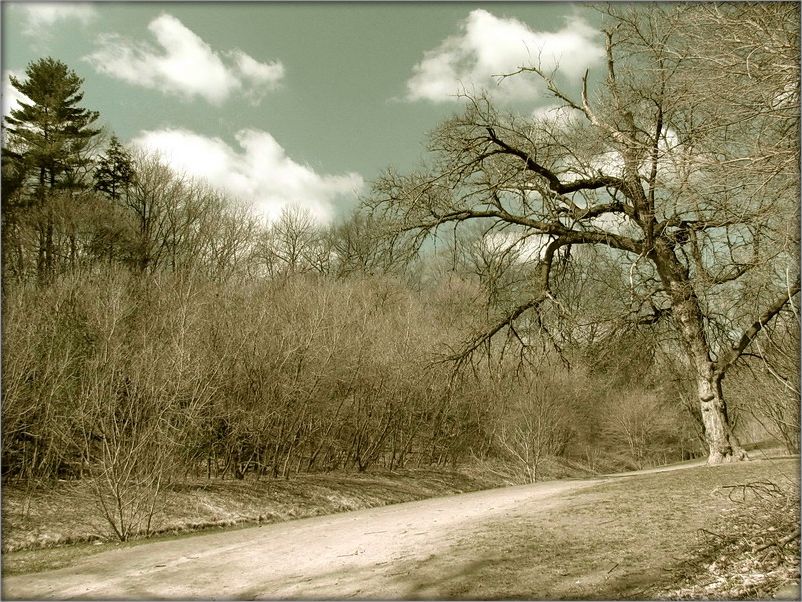 за полчаса до весны