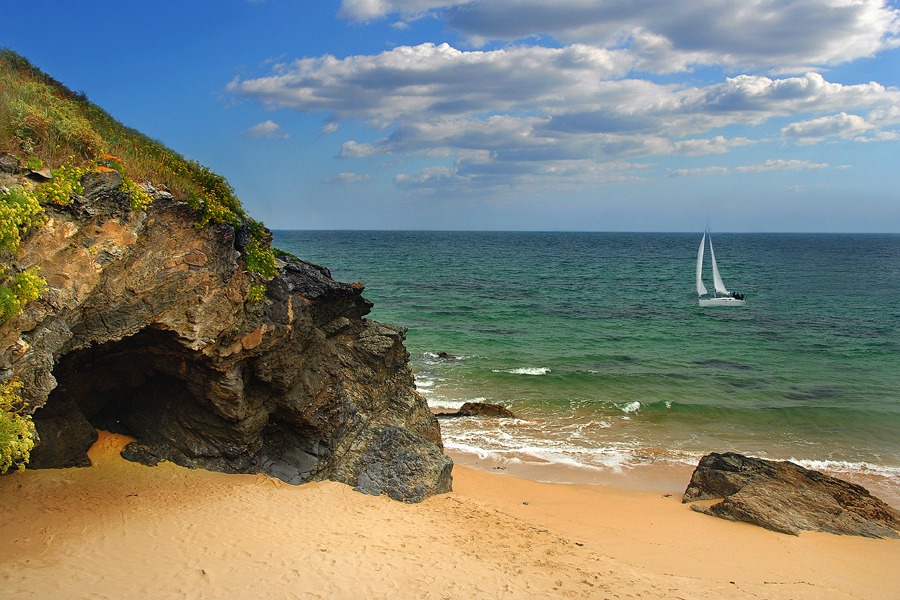 Новые робинзоны