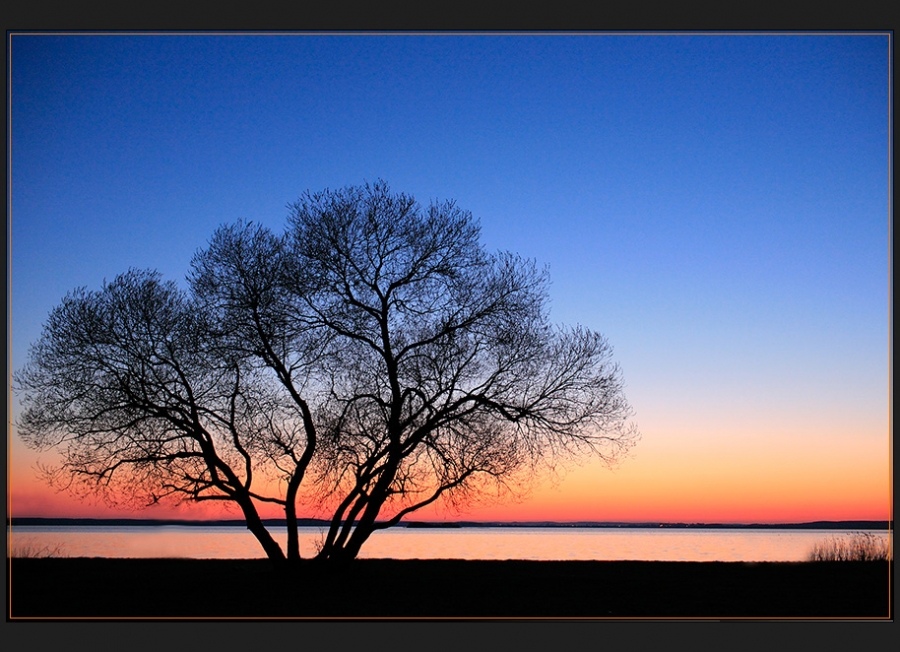 Закатный силуэт.