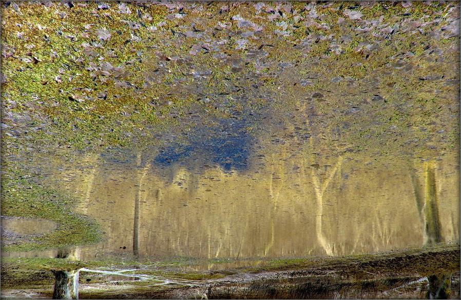 запрашэньне ў залюстроў'е