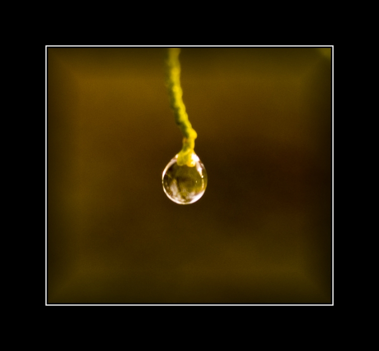 Вселенная...