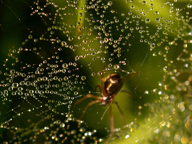 СОЗДАНИЕ ХРУСТАЛЯ