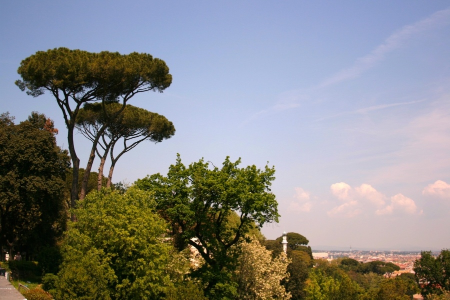 итальянские виды