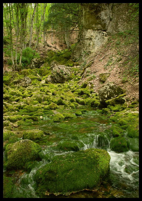 Карстовый источник