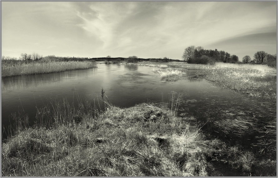 нёман апрельского разлива (ещё)