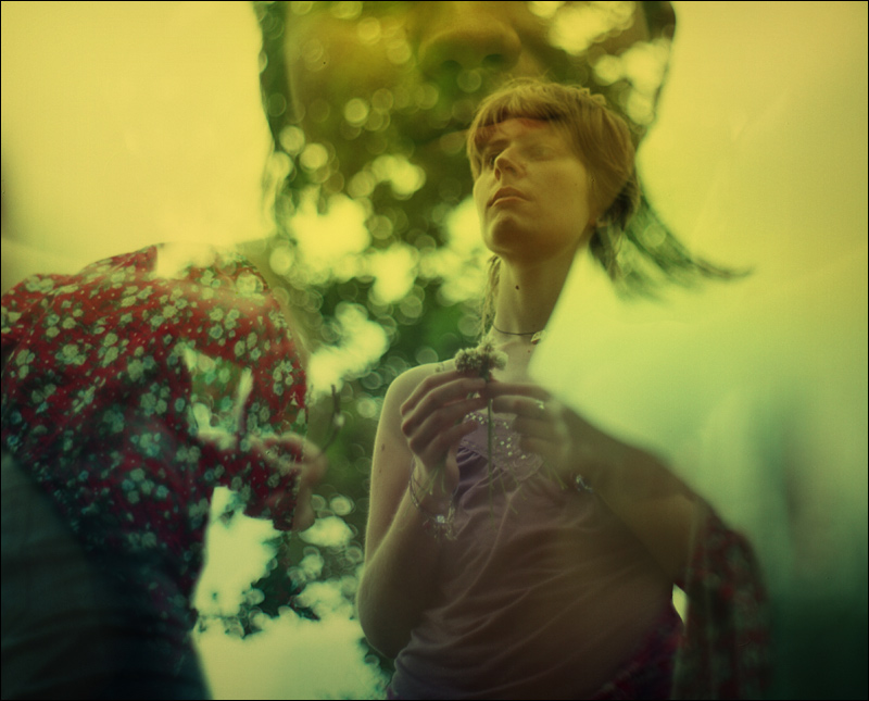 Запахи трав