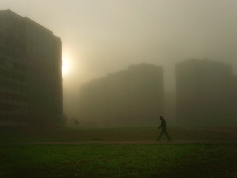 Утренний пешеход