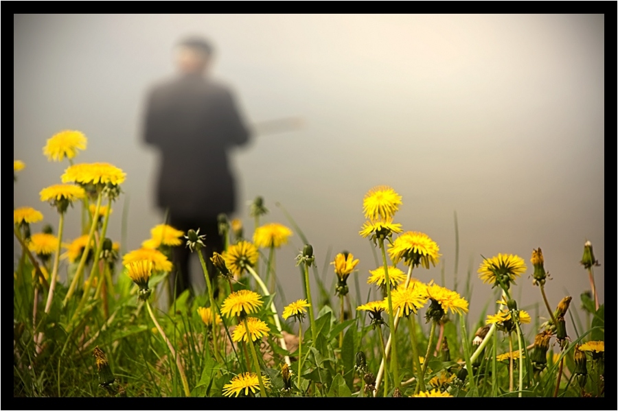 Обычный день...