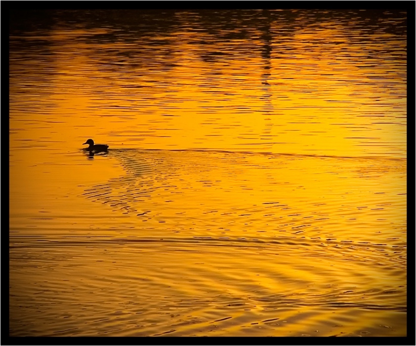 Вечер на Немиге...